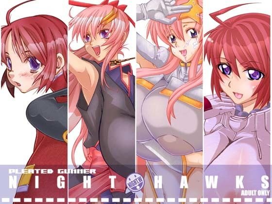 NIGHT HAWKS QUADRILOGY メイン画像