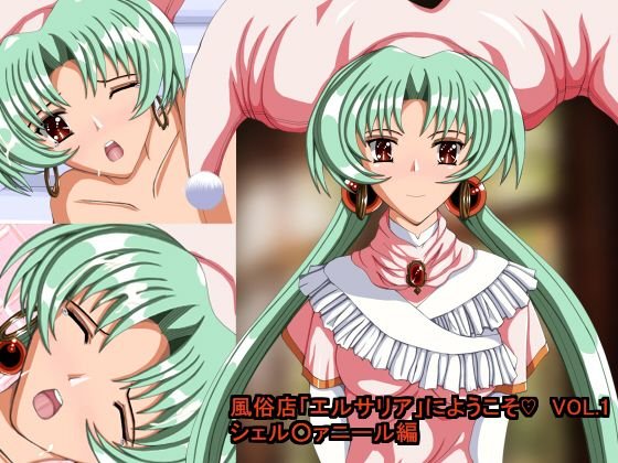 風俗店「エルサリア」にようこそ VOL.1 シェル○ァニール編 メイン画像