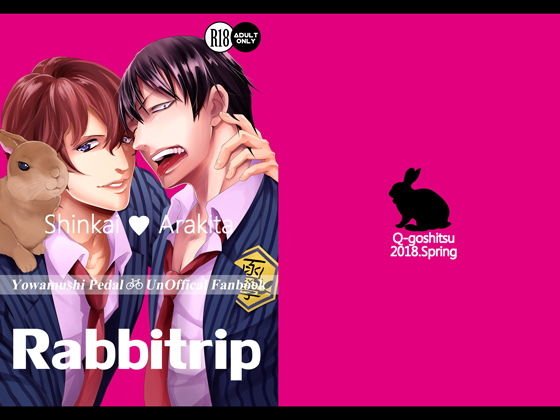 Rabbitrip メイン画像