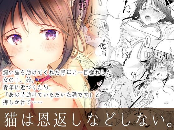 猫は恩返しなどしない。 メイン画像