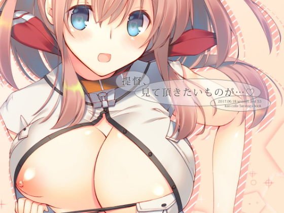 提督、見て頂きたいものが… メイン画像