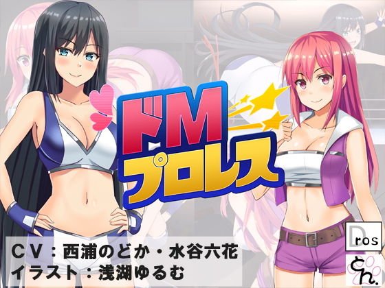 ドMプロレス メイン画像