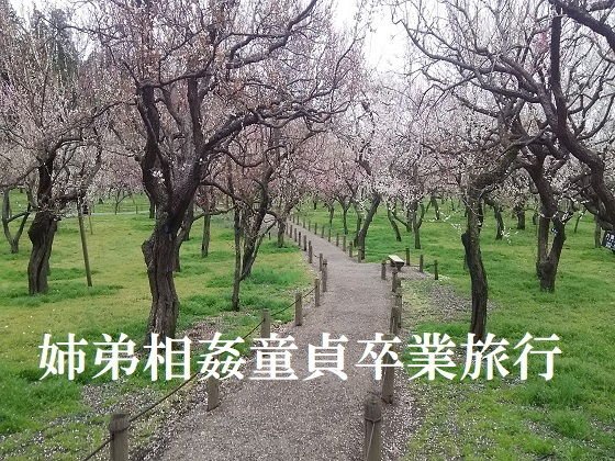 姉弟相姦童貞卒業旅行 メイン画像
