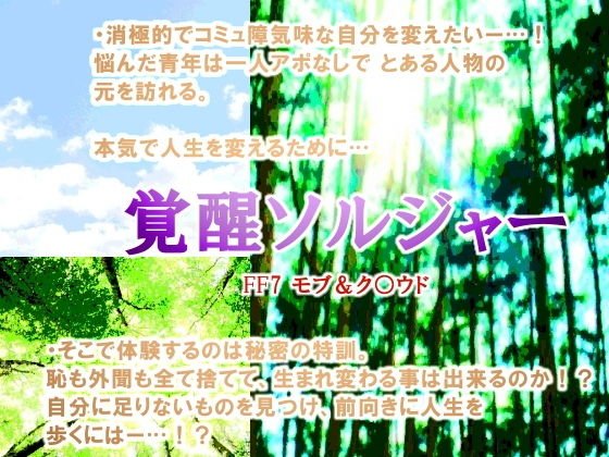 覚醒ソルジャー メイン画像