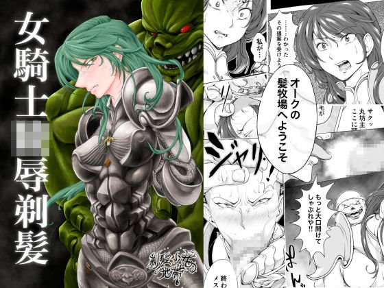 女騎士陵辱剃髪 メイン画像