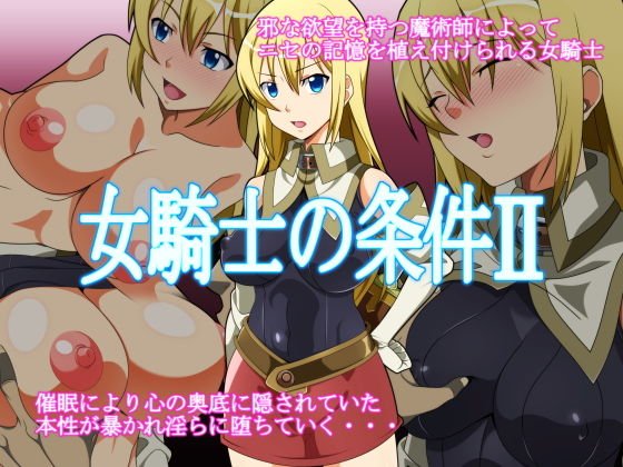 女騎士の条件II メイン画像