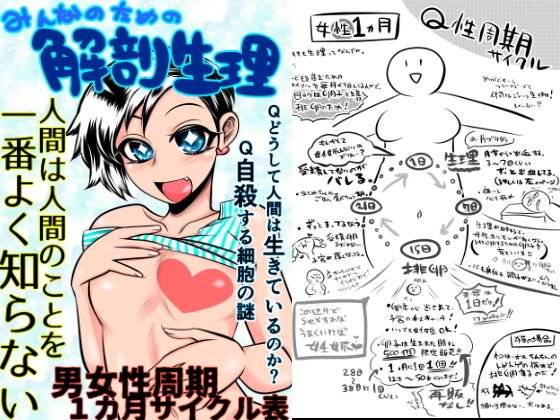 みんなのための解剖生理 メイン画像