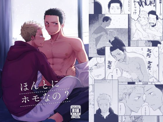 ほんとにホモなの？ メイン画像