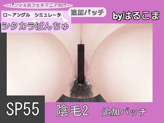 SP55 陰毛2追加パッチ メイン画像
