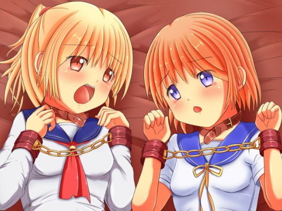少女のねだん。 メイン画像