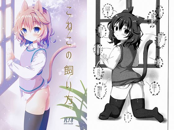 こねこの飼い方 メイン画像