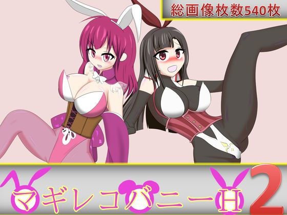 マギレコバニーH2 メイン画像