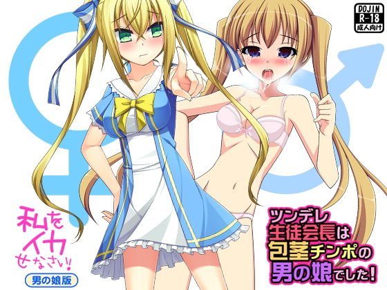 ツンデレ美少女は男の娘（人気同人2作セット） メイン画像