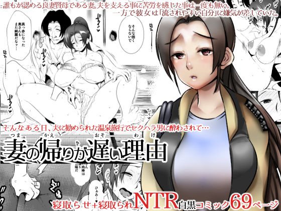 妻の帰りが遅い理由 メイン画像
