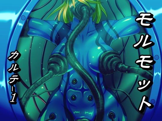 モルモット カルテ1 メイン画像