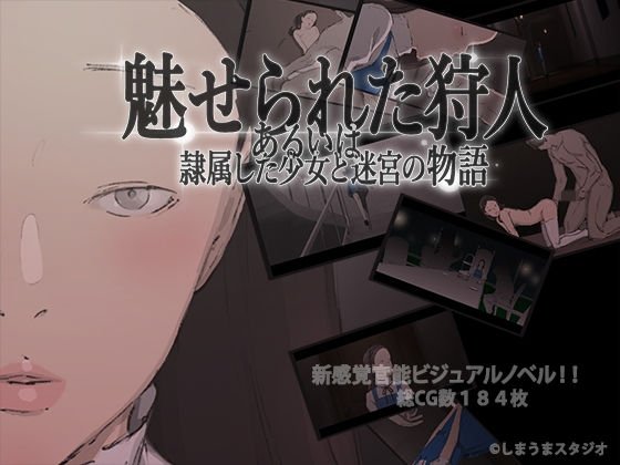 魅せられた狩人 あるいは隷属した少女と迷宮の物語 メイン画像