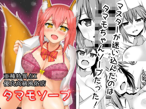 亜種特異点X優良高級風俗店タマモソープ メイン画像
