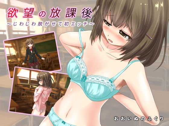 欲望の放課後〜じわじわ脱がせて初エッチ〜 メイン画像