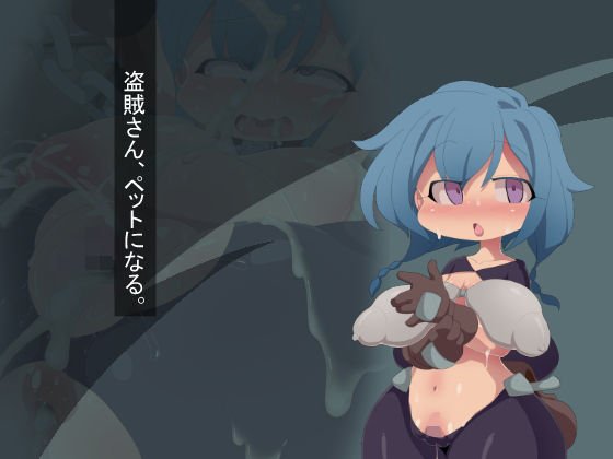 盗賊さん、ペットになる。 メイン画像