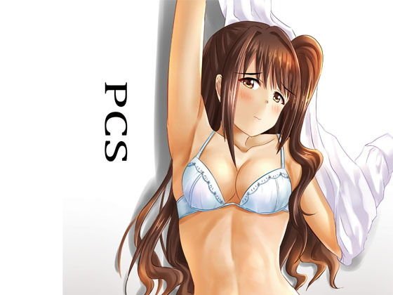 PCS メイン画像