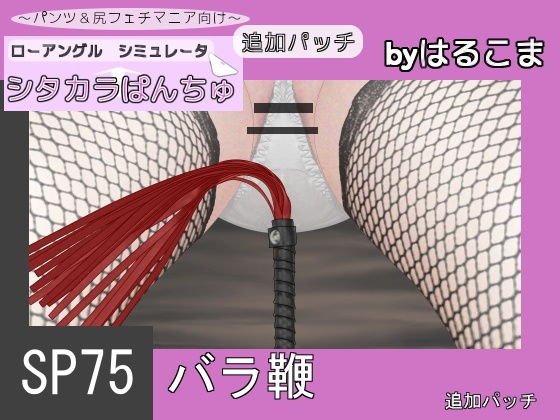 SP75 バラ鞭追加パッチ メイン画像