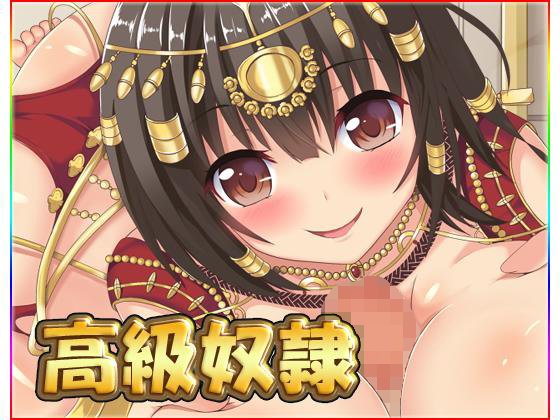 高級奴隷 メイン画像