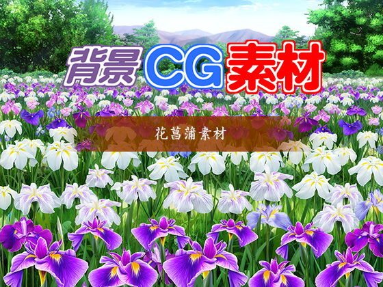 著作権フリー背景CG素材「花菖蒲素材」 メイン画像
