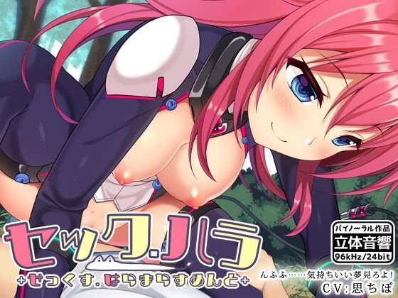 セック・ハラ ＋せっくすはらますめんと＋ メイン画像