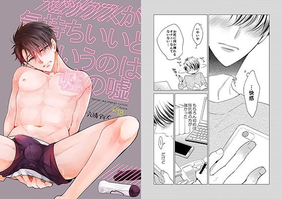セックスが気持ちいいというのは嘘の嘘 メイン画像
