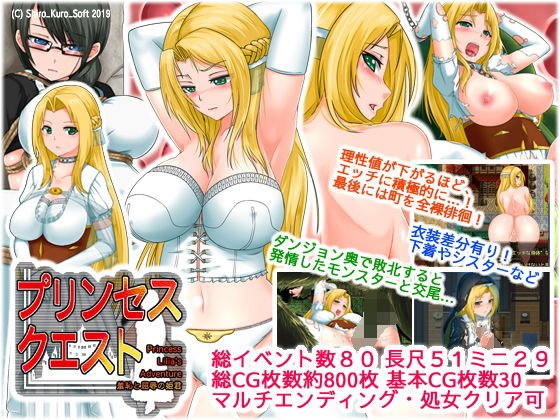 プリンセスクエスト 羞恥と屈辱の姫君 メイン画像