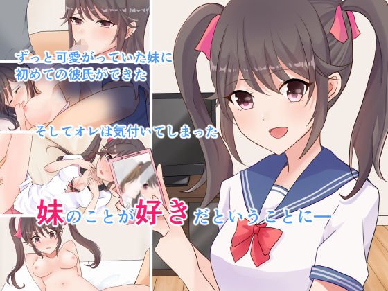 欲望のままに犯して寝取るー可愛い妹はオレだけのものー メイン画像