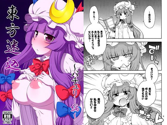 東方迷込〜パチュリー編〜 メイン画像
