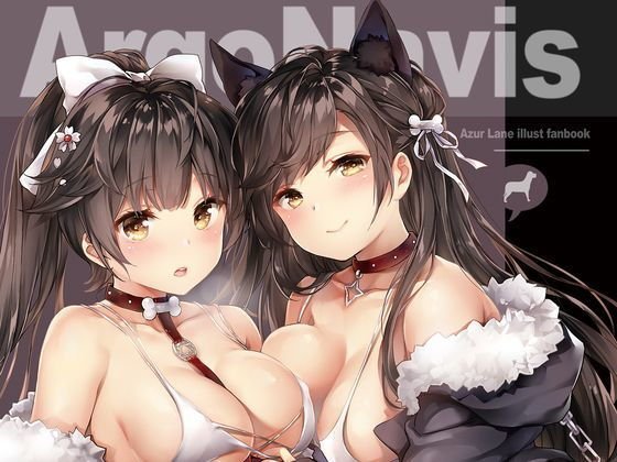 Argo Navis メイン画像