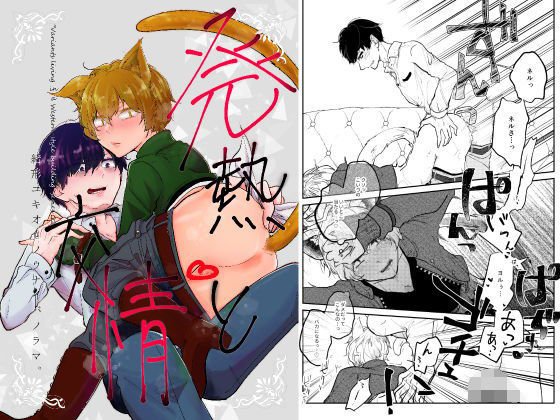 発熱と交情 メイン画像