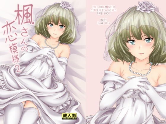 楓さんの恋模様2 メイン画像