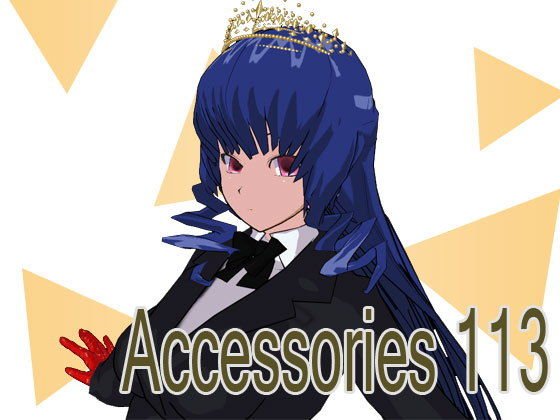 Accessories 113 メイン画像