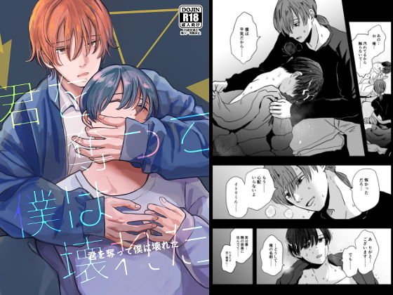 君を奪って僕は壊れた メイン画像