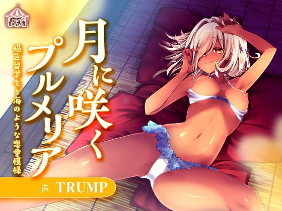 月に咲くプルメリア メイン画像
