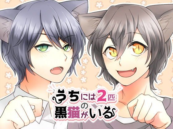 うちには2匹の黒猫がいる メイン画像