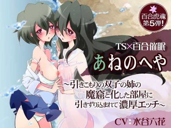 あねのへや〜引きこもりの双子の姉の魔窟と化した部屋に引きずり込まれて濃厚エッチ〜 メイン画像