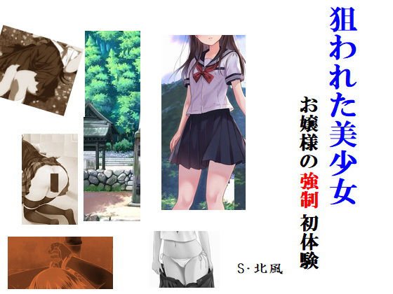 狙われた美少女 お嬢様の強制初体験 メイン画像