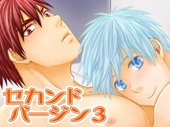 セカンドバージン3 メイン画像