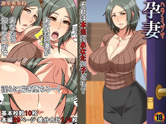 孕妻 それは本当にあなたの子ども？ メイン画像