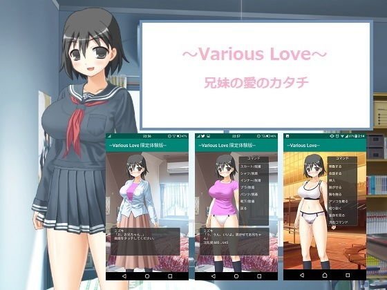 〜Various Love〜兄妹の愛のカタチ メイン画像