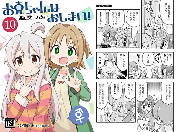 お兄ちゃんはおしまい！10 メイン画像