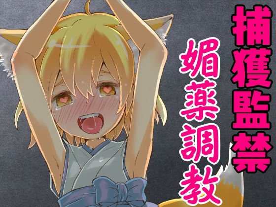 狐娘のロリババアが捕獲されて媚薬で従順な性奴隷にされるまで。 メイン画像