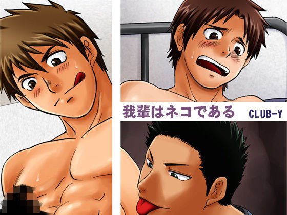 我輩はネコである メイン画像