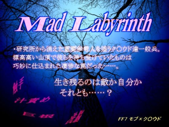 マッド・ラビリンス メイン画像
