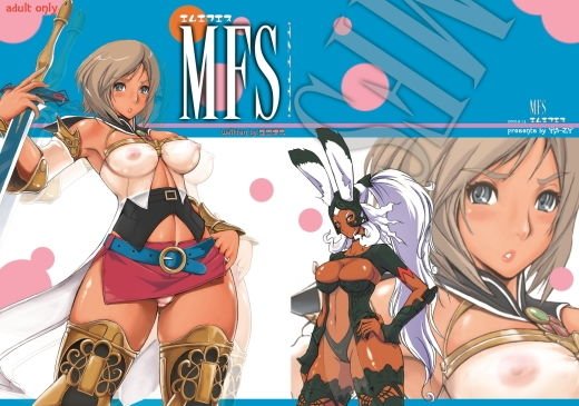 MFS メイン画像