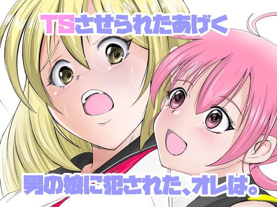 TSさせられたあげく男の娘に犯された、オレは。 メイン画像